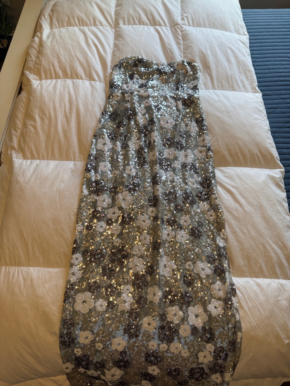 Lulu's Light Silver Strapless Gown